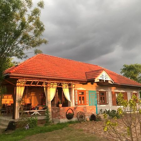 Zagroda W Puszczy Bialowieza Exterior foto