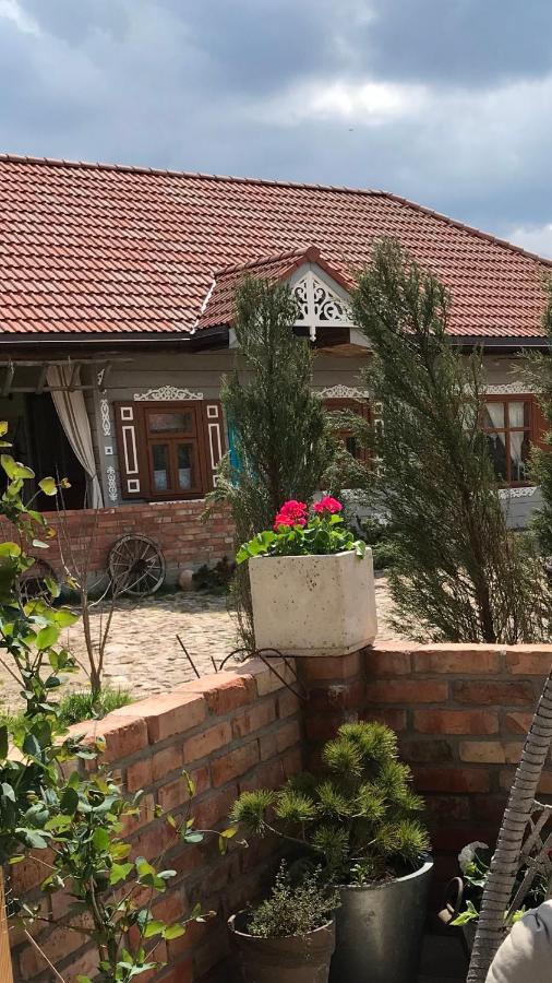 Zagroda W Puszczy Bialowieza Exterior foto