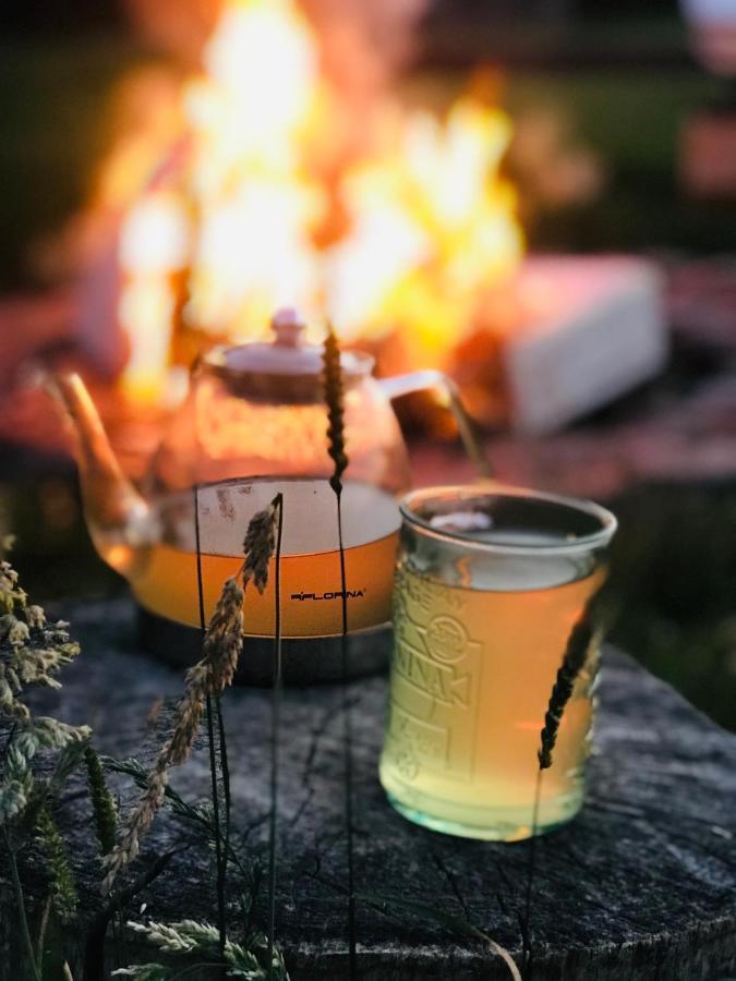 Zagroda W Puszczy Bialowieza Exterior foto