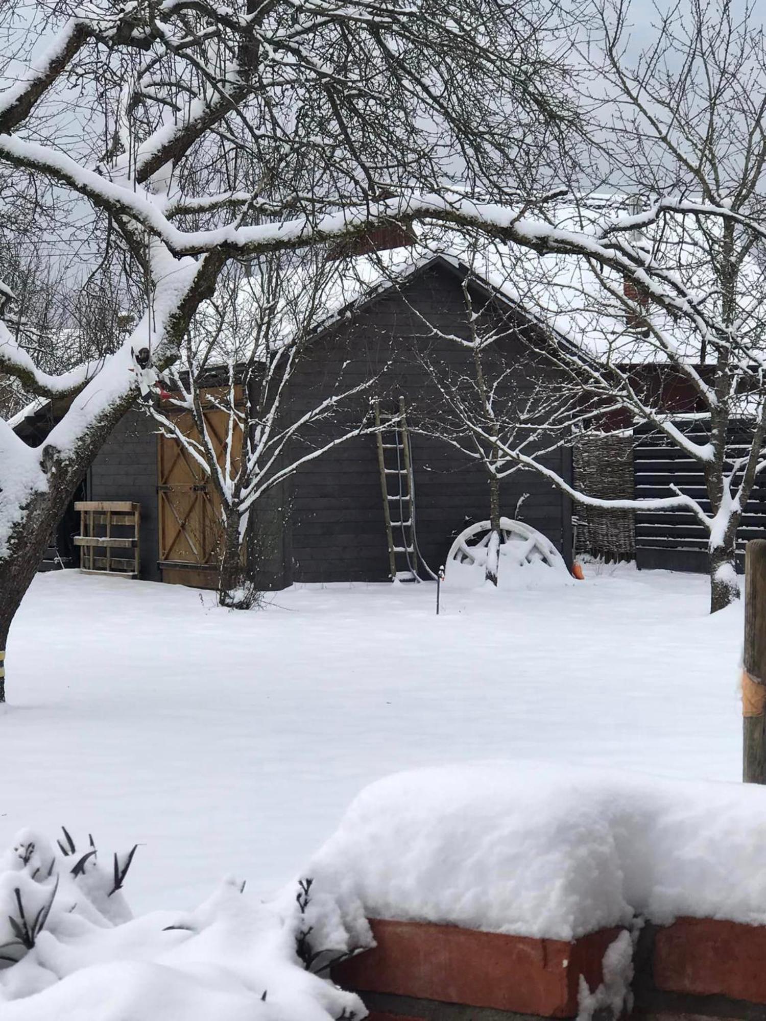 Zagroda W Puszczy Bialowieza Exterior foto